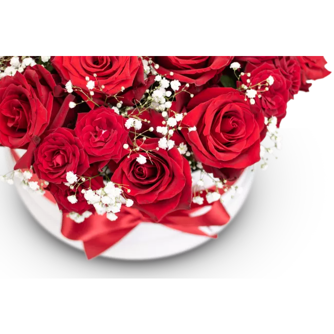 Box červených růží